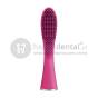 FOREO ISSA MINI Brush HEAD końcówka wymienna do szczoteczki sonicznej FOREO CLASSIC i MINI, dostępna w czterech kolorach