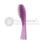 FOREO ISSA CLASSIC Brush HEAD końcówka wymienna do szczoteczki sonicznej FOREO, dostępna w czterech kolorach