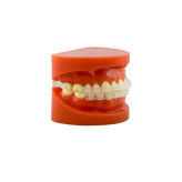 OCHRANIACZ Comfort Cover do ust i policzków dla osób noszących aparat ortodontyczny