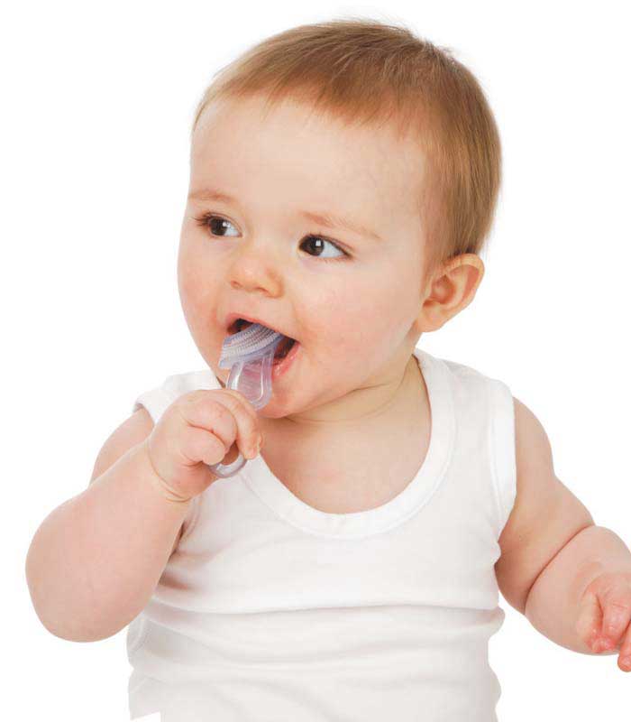Brush-Baby Chewable Toothbrush & Teether