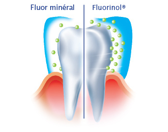 Pasta do zębów Elgydium działanie Fluorinolu