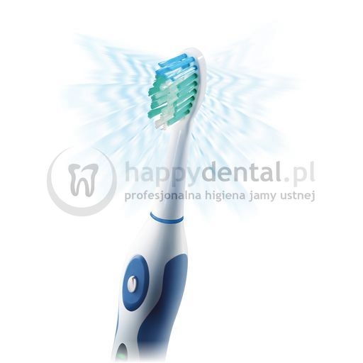 waterpik sr3000