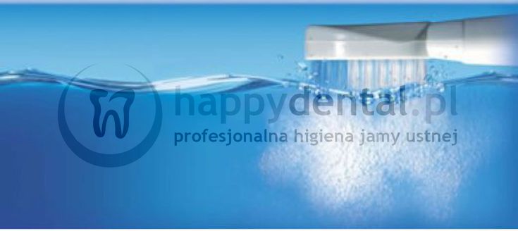 waterpik WP-861E2 waterpik WP-861E2