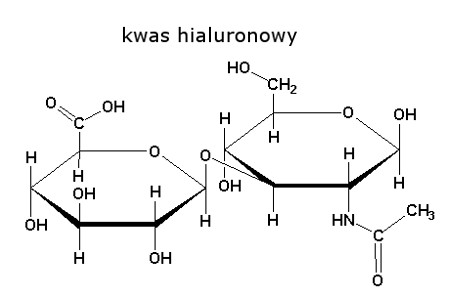 kwas hialuronowy